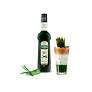Syrup Teisseire Lá Dứa (Pandan) 70cl